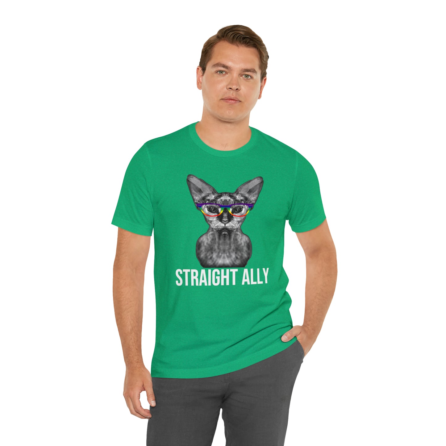 Straight Ally Sphynx Cat Simple Unisex Pride T-Shirt