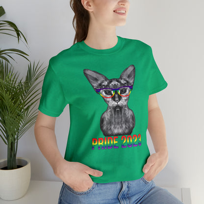 PRIDE 2023 Sphynx Cat Rainbow Simple Unisex T-Shirt