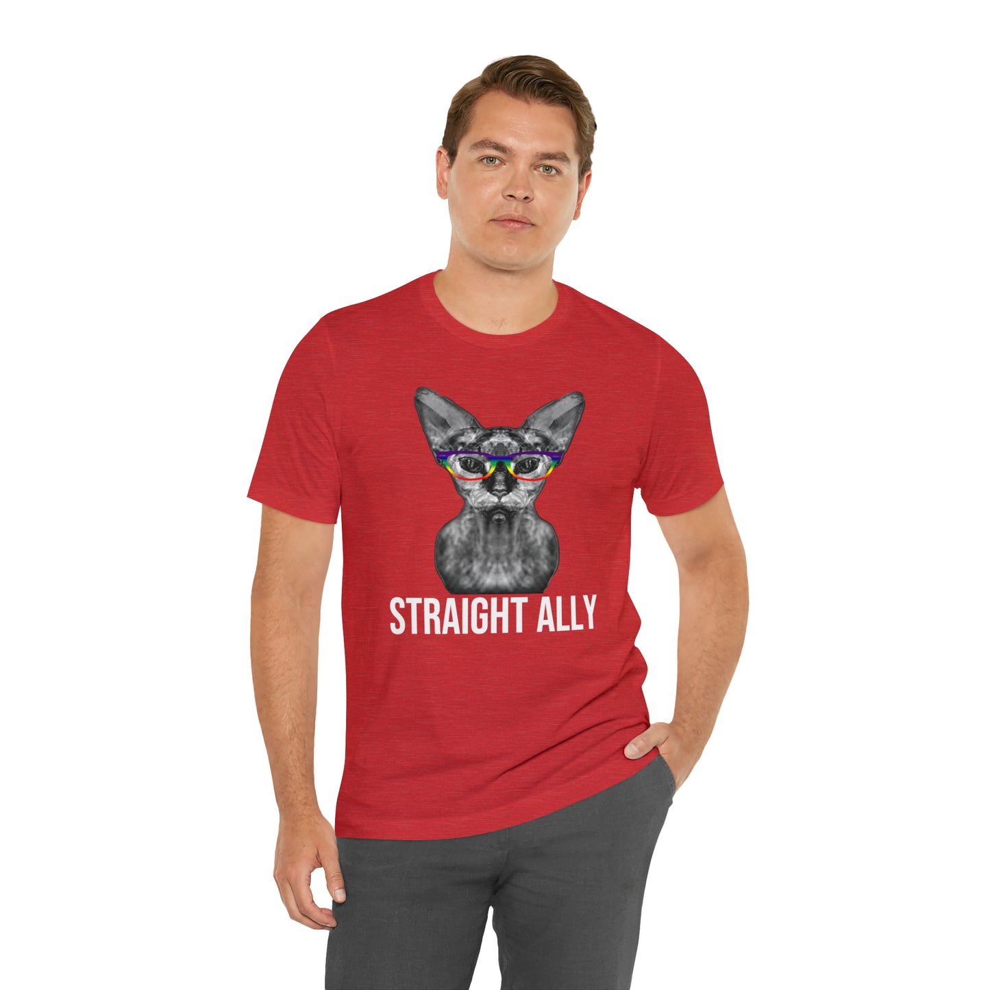 Straight Ally Sphynx Cat Simple Unisex Pride T-Shirt