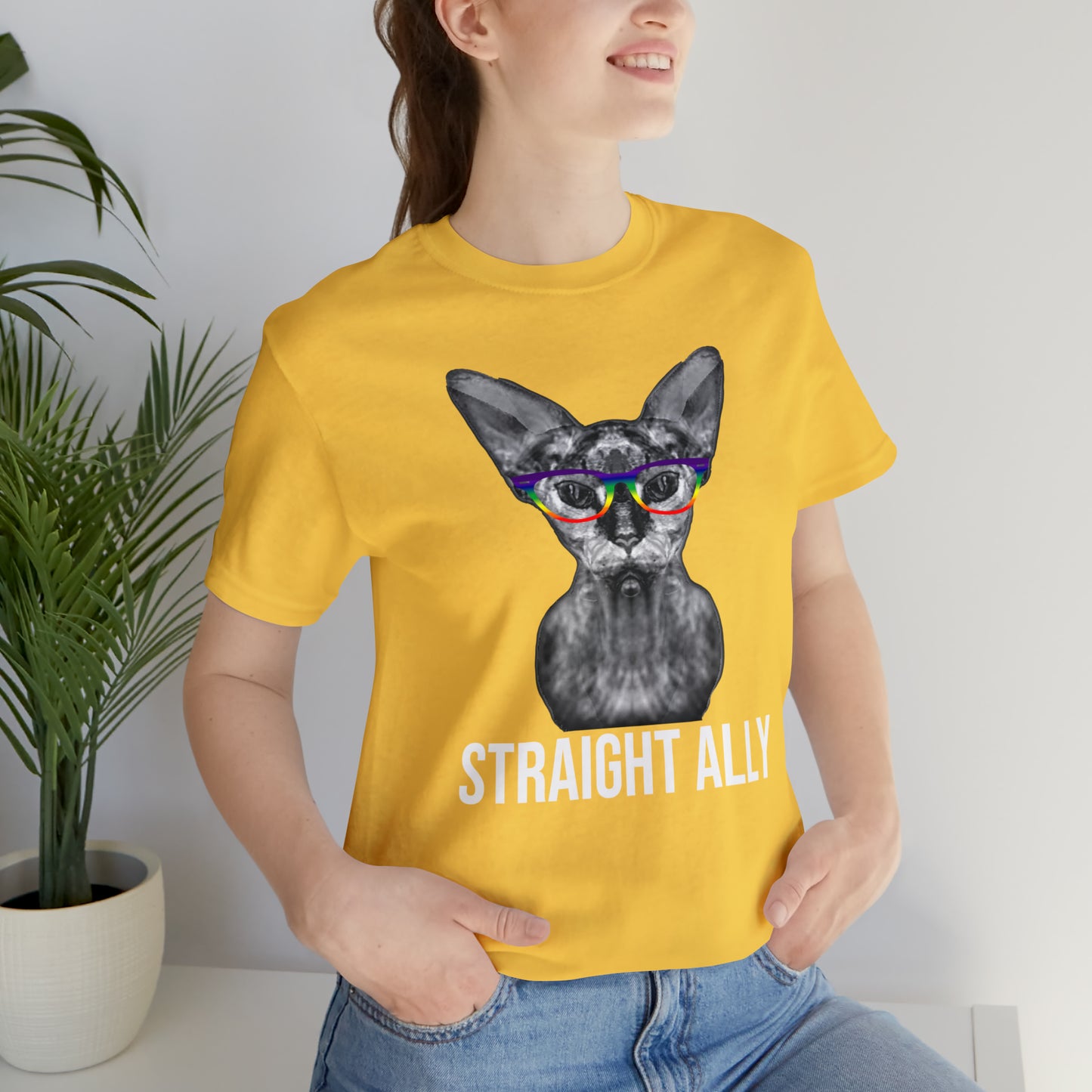 Straight Ally Sphynx Cat Simple Unisex Pride T-Shirt