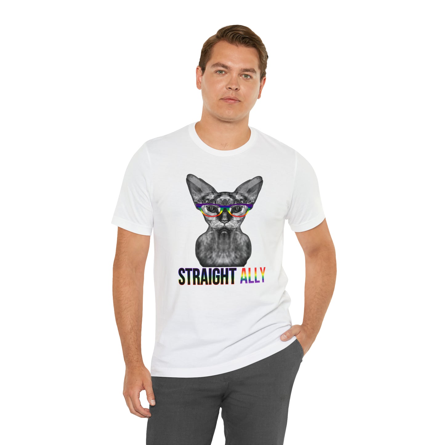 Straight Ally Sphynx Cat Simple Unisex Pride T-Shirt