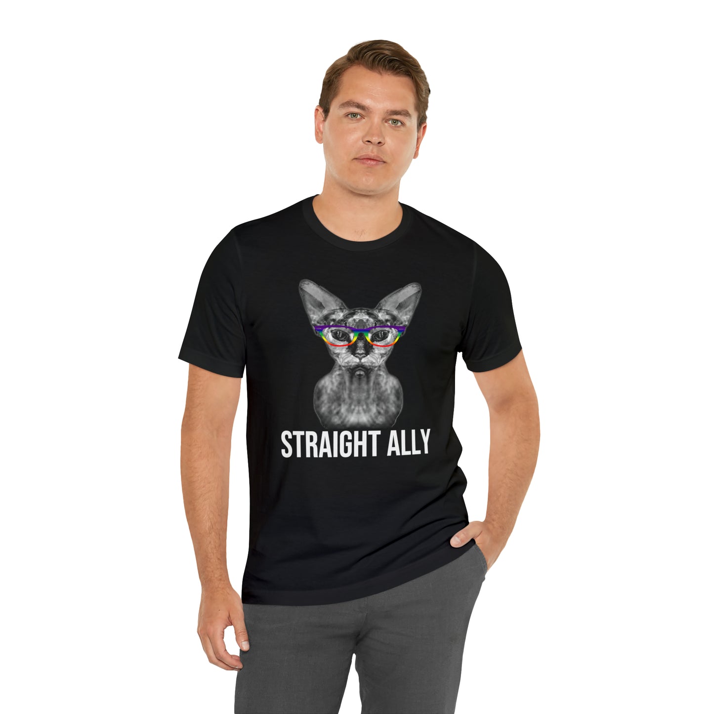 Straight Ally Sphynx Cat Simple Unisex Pride T-Shirt