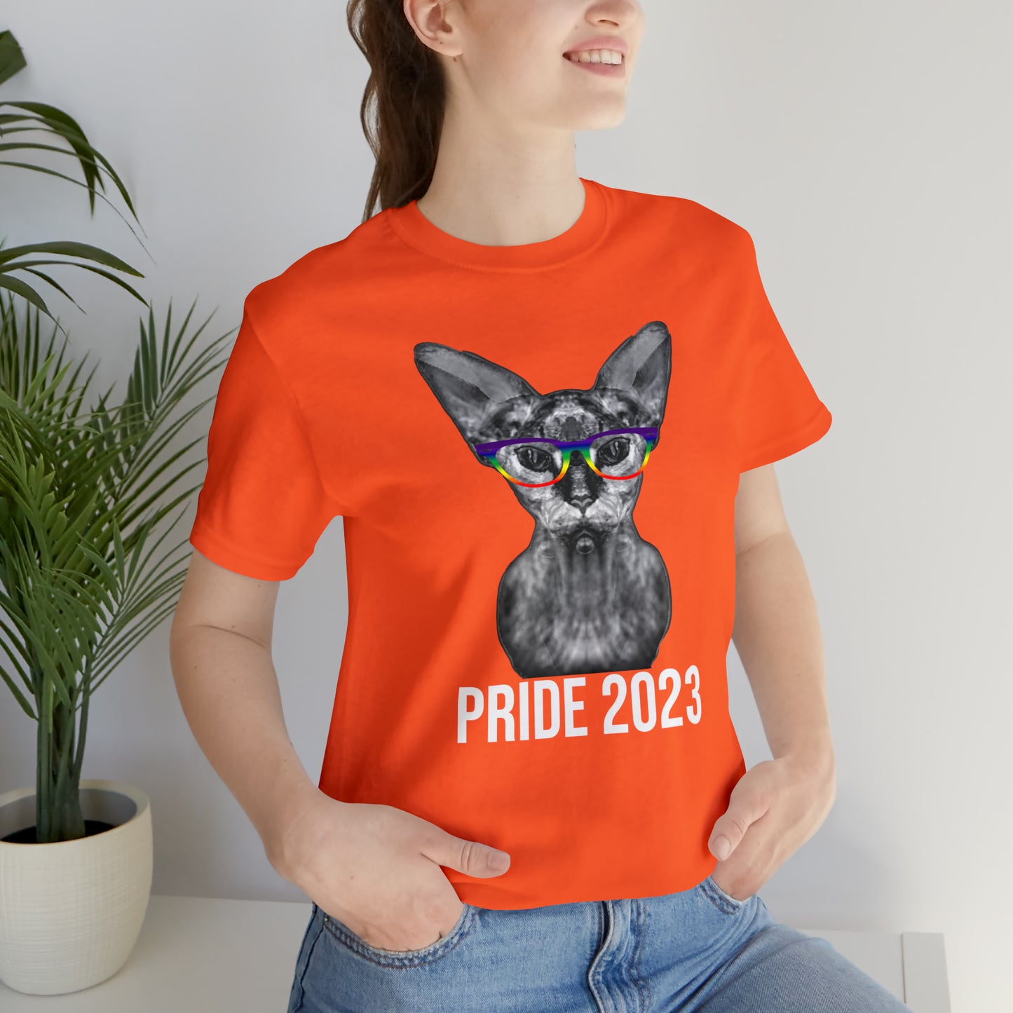 PRIDE 2023 Sphynx Cat Rainbow Simple Unisex T-Shirt