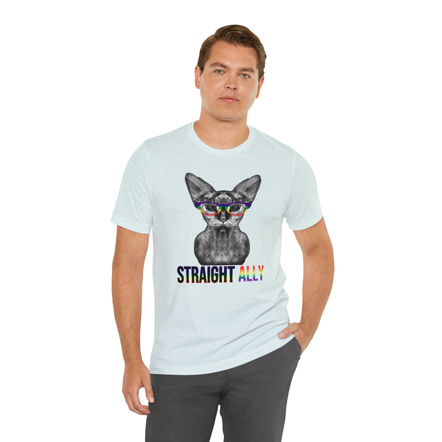 Straight Ally Sphynx Cat Simple Unisex Pride T-Shirt