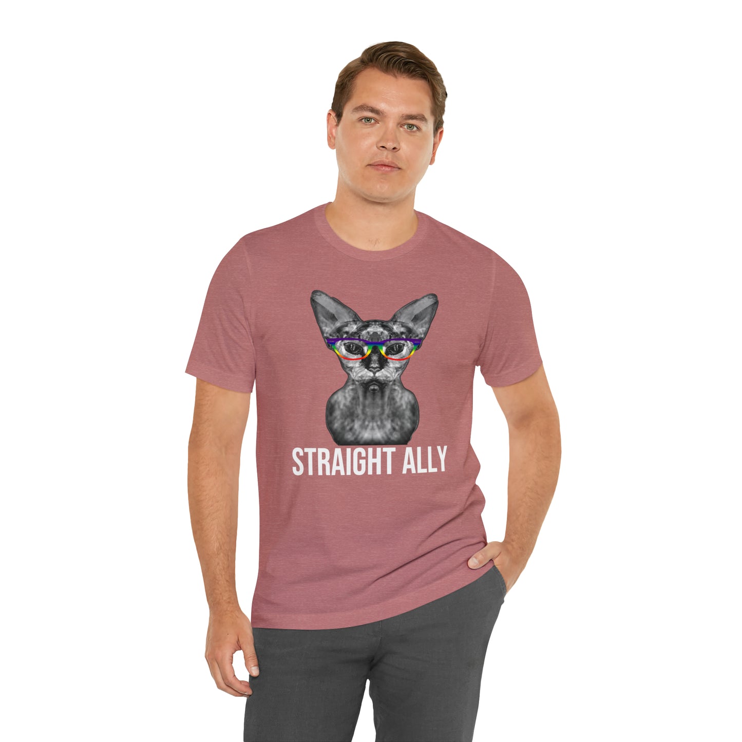 Straight Ally Sphynx Cat Simple Unisex Pride T-Shirt