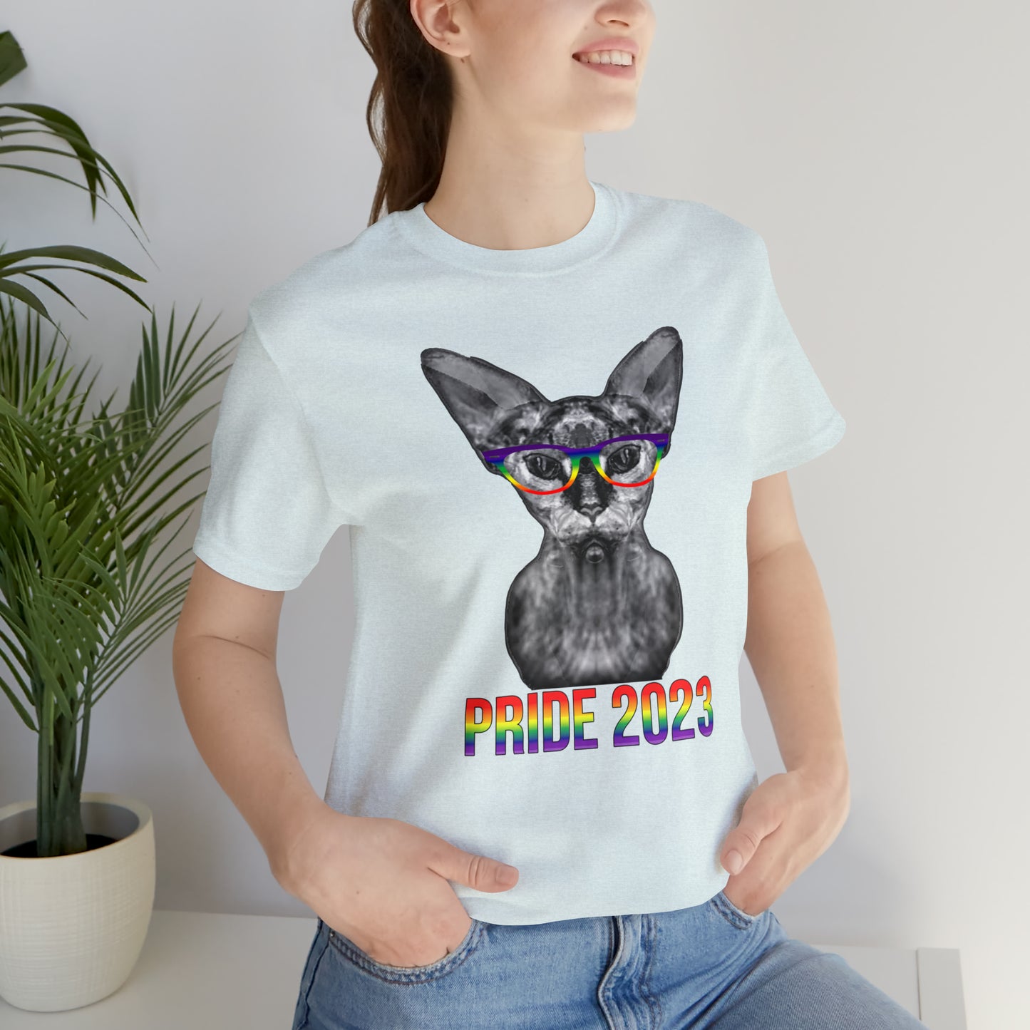 PRIDE 2023 Sphynx Cat Rainbow Simple Unisex T-Shirt