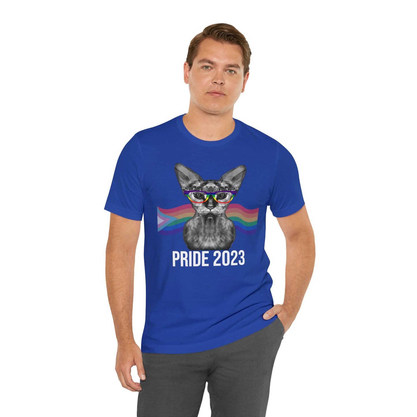 PRIDE 2023 Sphynx Cat Rainbow Flag Banner Unisex T-Shirt