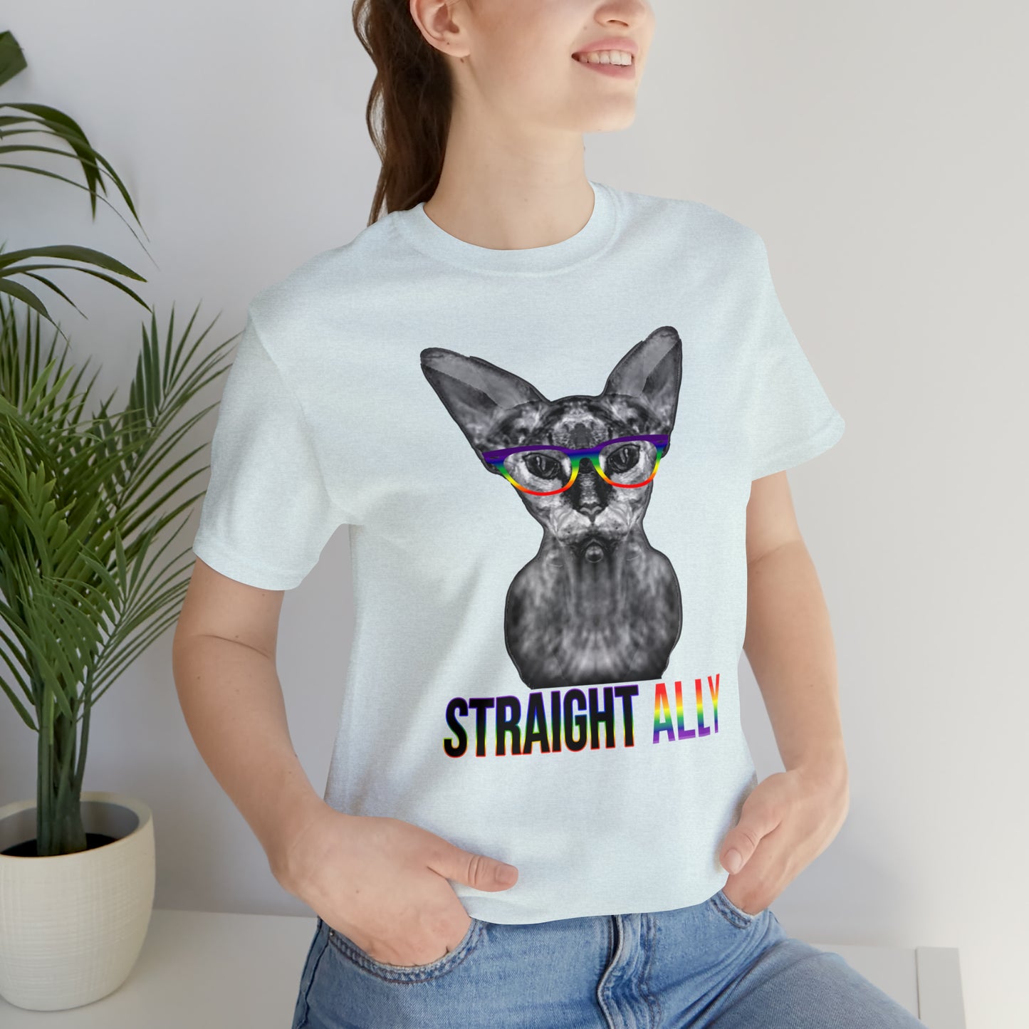 Straight Ally Sphynx Cat Simple Unisex Pride T-Shirt